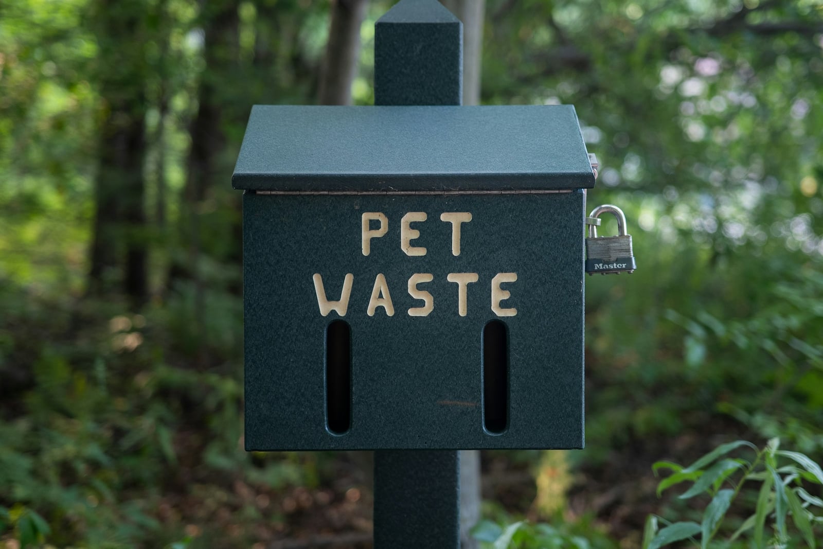 Post mounted green pet waste station with a padlock, standing in leafy deciduous woods of the kind found around Greater Cincinnati