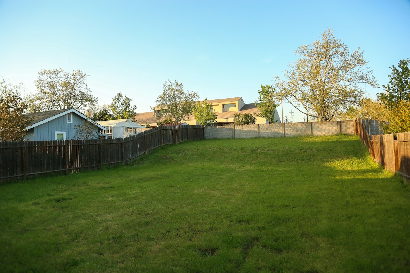 Clean fenced backyard with green grass, the goal after dog poop odor is removed