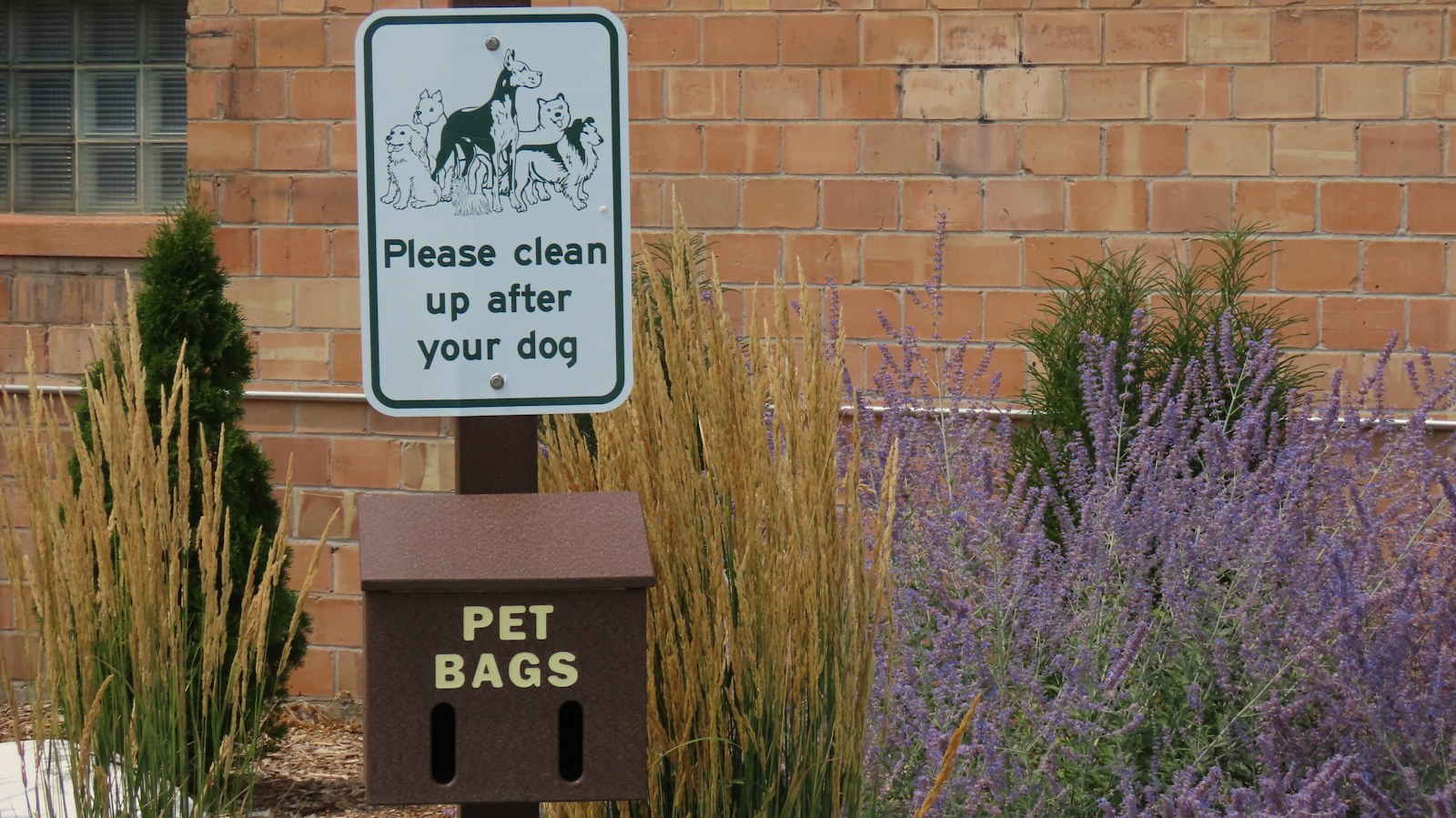 A clean up after your dog sign above a pet waste bag dispenser beside a brick building and ornamental grasses, a typical Greater Cincinnati property