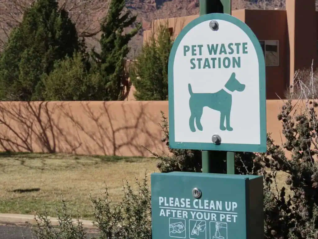 pet waste removal